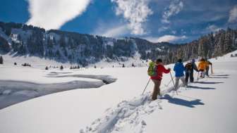 Wildtier-Erlebnis auf Schneeschuhen am Flumserberg