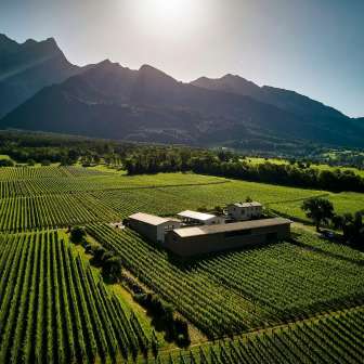 Davaz Winery © Weingut Davaz