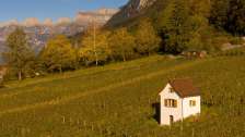 Heiligkreuz, Mels, Reben, St.Galler Wein, Weinberg