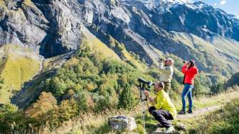 Batöni, Steinwild, Weisstannen, Wildlife Watching, Wildtier, Wildtier Touren, Wildtiertouren