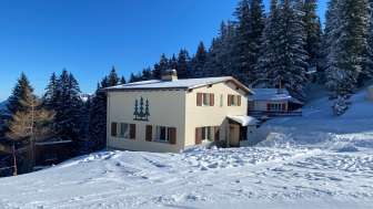 Ferienhaus Dreitann Ferienhaus Dreitann
