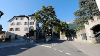 Weingut Pola Maienfeld