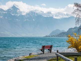 2025, Bänkli, Berge, Firnschneefäscht, Forsythien, Forsythienbaum, Frühling, Landschaft und Natur, Rotes Bänkli, See, Sitzbank, spazieren, Steine, Walensee, Wasser, Weg, Wolken