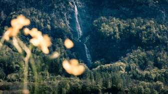 Ragnatscher Fall
