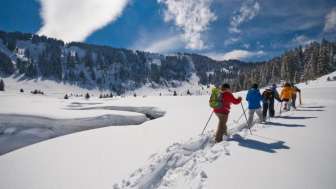 Wildtier-Erlebnis auf Schneeschuhen am Flumserberg