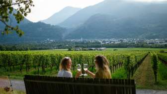 Weinverkostung mit Blick auf die Rebberge © Heidiland Tourismus