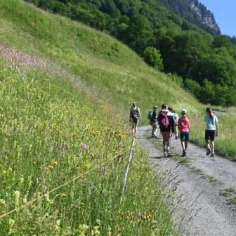 Weg entlang des Trails © Stiftung Erlebnis Weisstannental