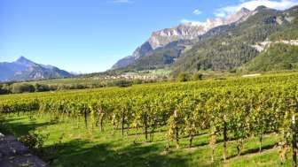 Weingut Anjan Boner