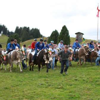 Alpchäsmarkt und Kuhrennen Flumserberg