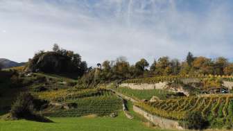 Weingut Portaser