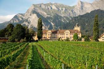 Schloss Salenegg