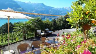 Grotto "KALIFORNI" CasaNova Wein Pur