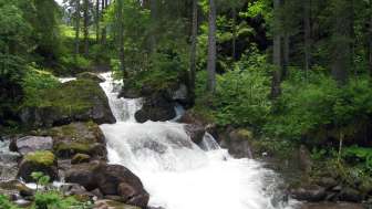 Gsponbachfall Gsponbachfall