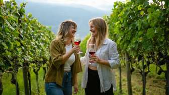 Rucksack-Weinprobe in der Bündner Herrschaft