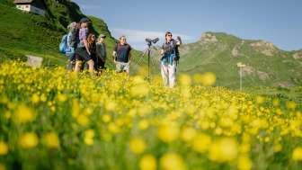 Murmeltiere beobachten © Kevin Wildhaber