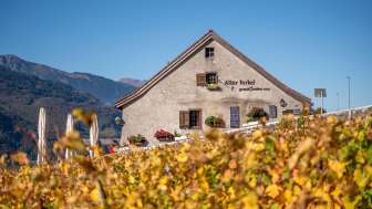 Alter Torkel im Herbst