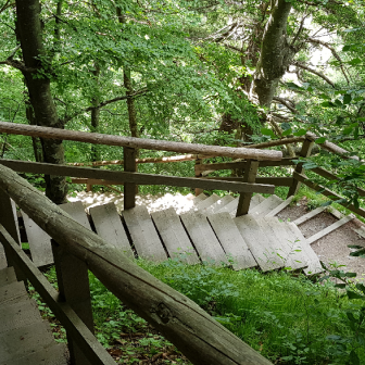 2026 06 21 Tamina 3  Treppe zur Schlucht
