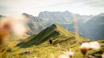 Berge, Bergsommer, Älplibahn Malans, Bündner Herrschaft, Vilan Rundtour, Aussicht, Malans