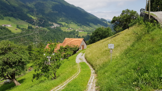 2026 06 21 Tamina 2  Ragol