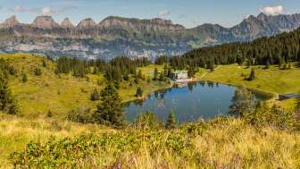 Fischen im Seebensee