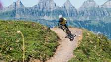 RedFox, Berge, Bikerberg, Prodalp, BlueSalamander, RedRock, Bikertrail