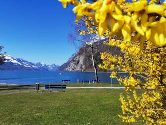 Berge, Sonne