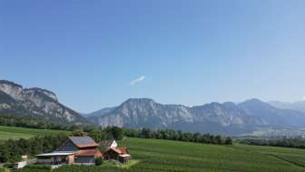 Liesch Weine AG, Ueli & Jürg Liesch Liesch Weine AG, Ueli & Jürg Liesch