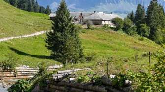Alp Kohlschlag