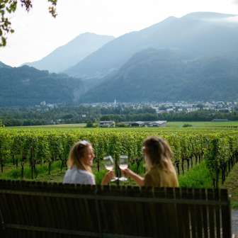 Weinverkostung mit Blick auf die Rebberge © Heidiland Tourismus
