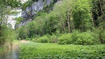 Waldreservat Gäsi-Rieterwald