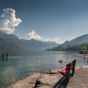 Walk by Lake Walen © Dolores Rupa