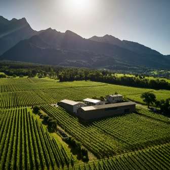 Weingut Davaz © Weingut Davaz