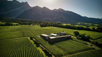 Weingut Davaz © Weingut Davaz