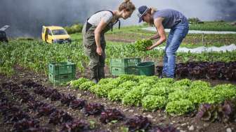 Klimagipfel für Landwirtschaft und Esskultur 