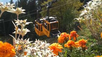 Älplibahn Malans Älplibahn Malans