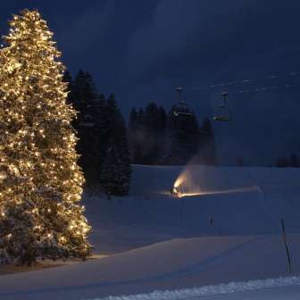 Bild Christbaum