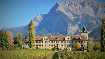 Weingut Schloss Salenegg Weingut Schloss Salenegg