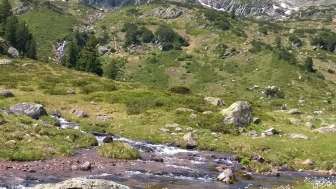 Fischen in den Bergbächen am Flumserberg
