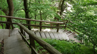 2026 06 21 Tamina 3  Treppe zur Schlucht