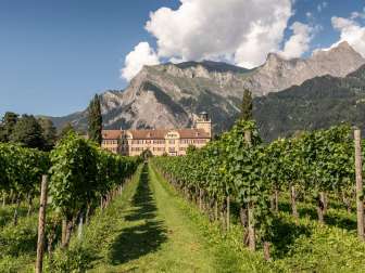 Schloss Salenegg