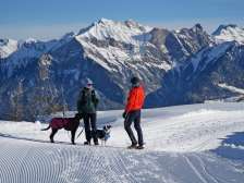 Pizol, Schnee, Laufböden, Hund, Winterwandern, Alphorngruppe Pardiel