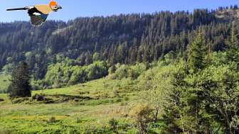 Naturpfad Crapparundweg