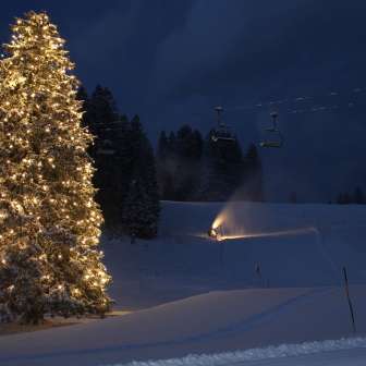 Bild Christbaum Bild Christbaum