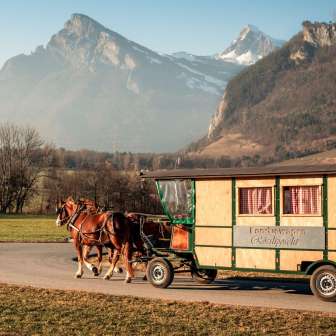 Horse-drawn carriage ride through the Bündner Herrschaft © Heidiland Tourismus/ Kevin Wildhaber