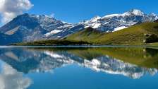 Bergerlebnisse Sommer, Calfeisental, Tiere