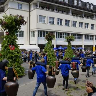 Maibär (3) Maibär (3)