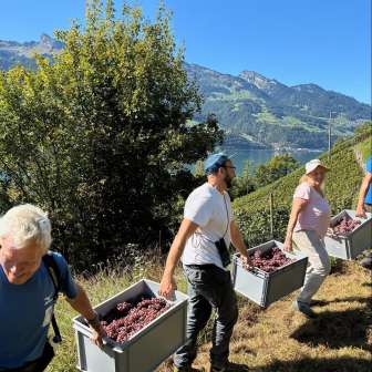 18bd45 a047b77e78c3440cbe53c04e7129b576~mv2