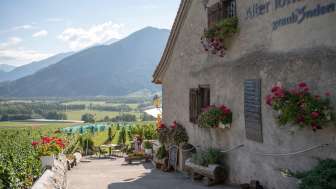 Alter Torkel in Jenins