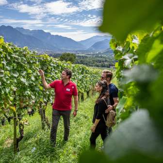 Besuch in den Weinbergen © Wine Tours Switzerland