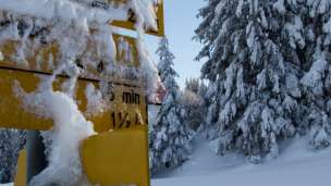 Winter_Tamina_Valley_2019 Snow, sun